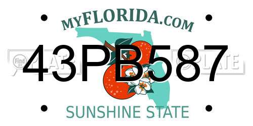 43PB587 Florida License Plate