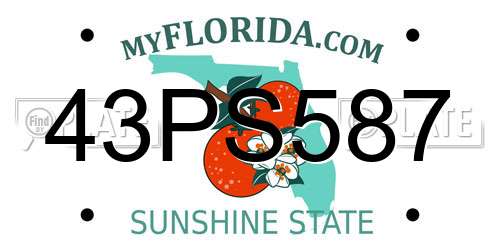 43PS587 Florida License Plate