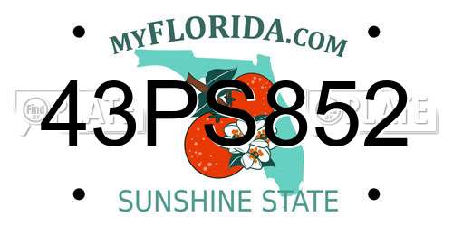 43PS852 Florida License Plate