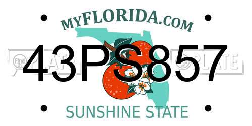 43PS857 Florida License Plate