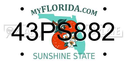 43PS882 Florida License Plate