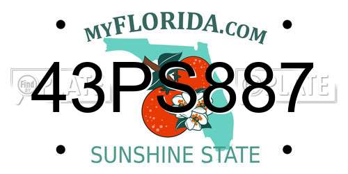 43PS887 Florida License Plate