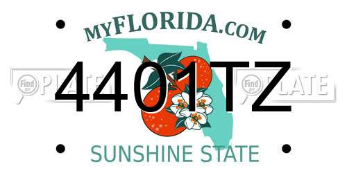 4401TZ Florida License Plate