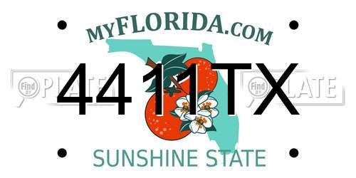 4411TX Florida License Plate