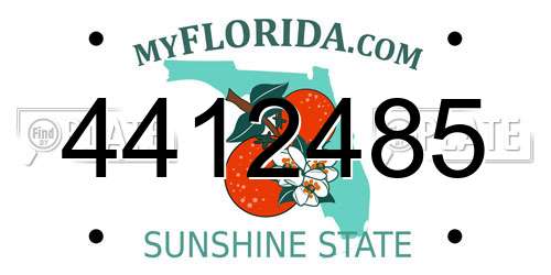 4412485 Florida License Plate