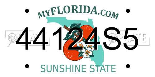 44124S5 Florida License Plate