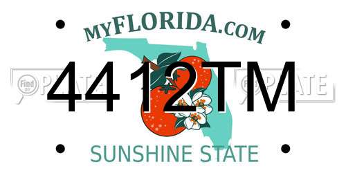 4412TM Florida License Plate