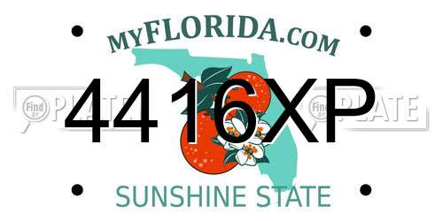 4416XP Florida License Plate