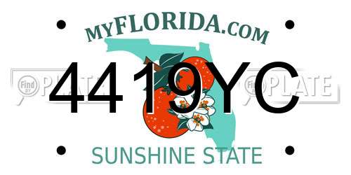 4419YC Florida License Plate