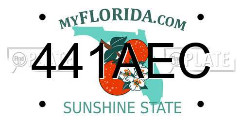 441AEC Florida License Plate