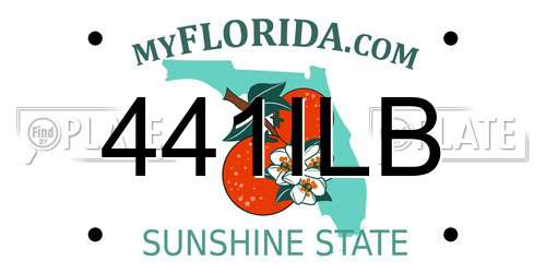 441ILB Florida License Plate