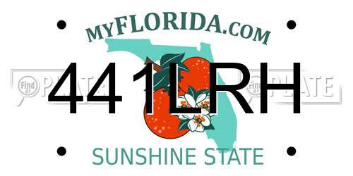 441LRH Florida License Plate