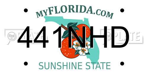 441NHD Florida License Plate