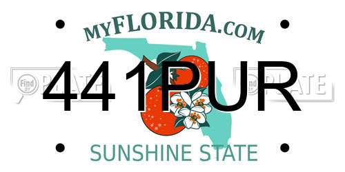 441PUR Florida License Plate