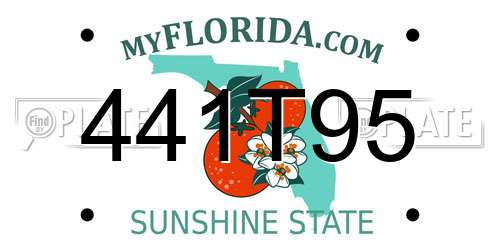 441T95 Florida License Plate