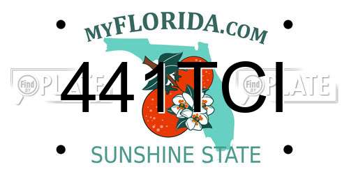 441TCI Florida License Plate