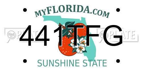 441TFG Florida License Plate