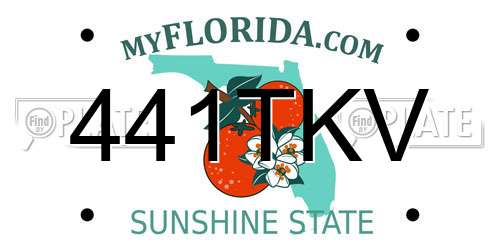 441TKV Florida License Plate