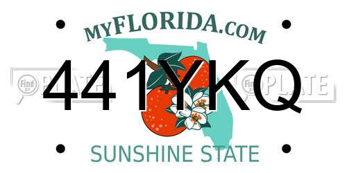 441YKQ Florida License Plate