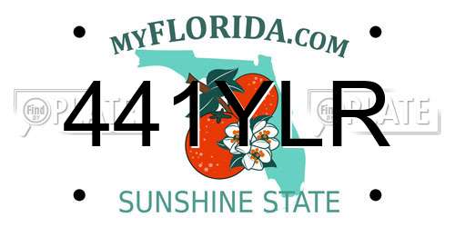 441YLR Florida License Plate