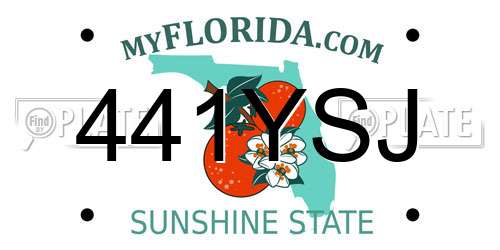 441YSJ Florida License Plate