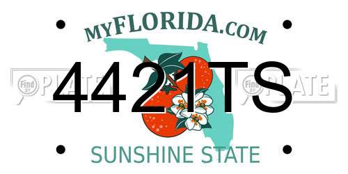 4421TS Florida License Plate