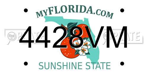 4428VM Florida License Plate