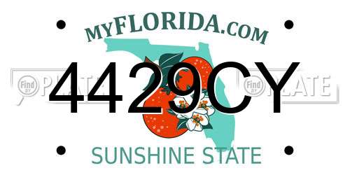 4429CY Florida License Plate