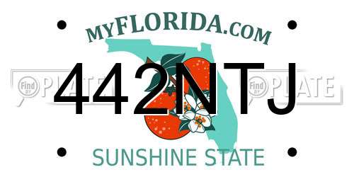 442NTJ Florida License Plate