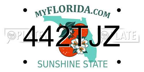 442TJZ Florida License Plate