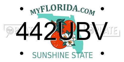 442UBV Florida License Plate