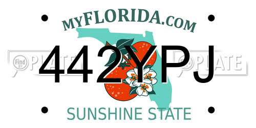 442YPJ Florida License Plate