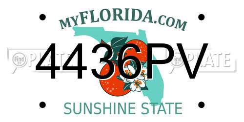 4436PV Florida License Plate