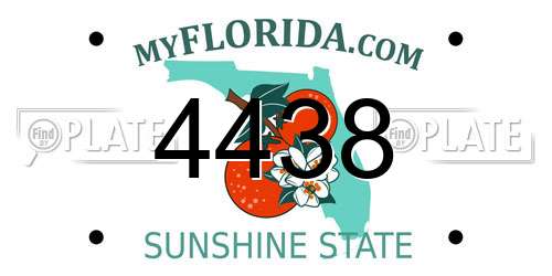 4438 Florida License Plate