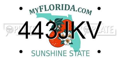 443JKV Florida License Plate