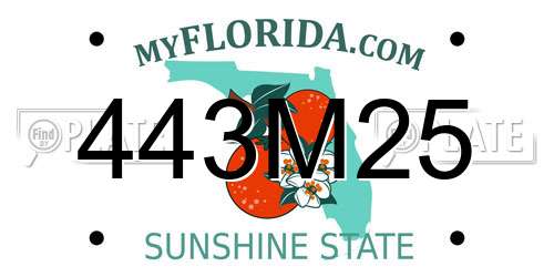 443M25 Florida License Plate