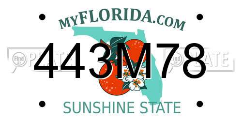 443M78 Florida License Plate