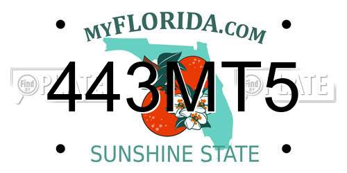 443MT5 Florida License Plate