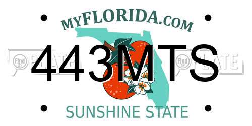 443MTS Florida License Plate