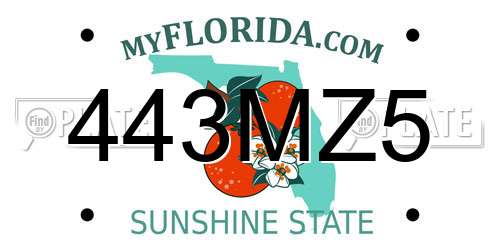 443MZ5 Florida License Plate