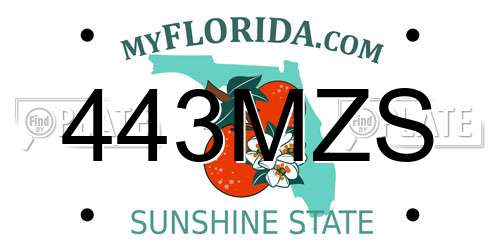 443MZS Florida License Plate