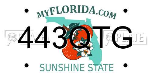 443QTG Florida License Plate