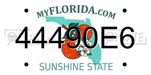 44490E6 Florida License Plate