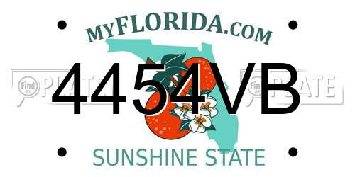 4454VB Florida License Plate