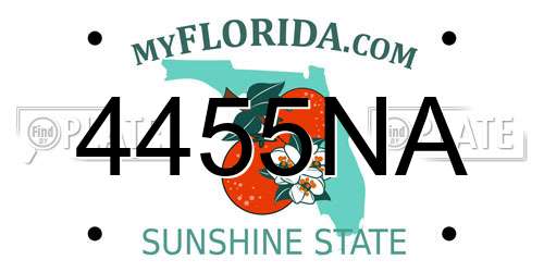 4455NA Florida License Plate