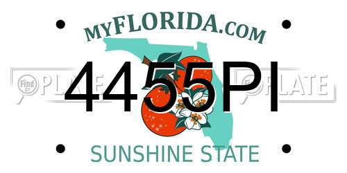 4455PI Florida License Plate