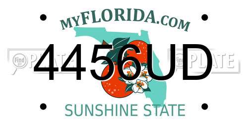 4456UD Florida License Plate