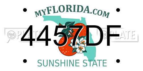 4457DF Florida License Plate