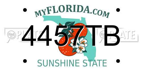 4457TB Florida License Plate