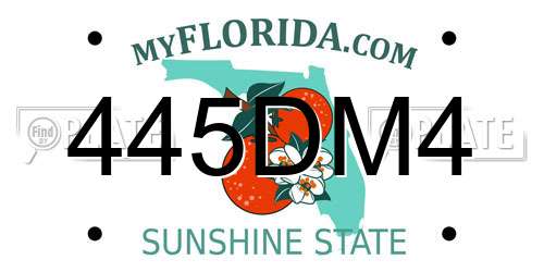 445DM4 Florida License Plate